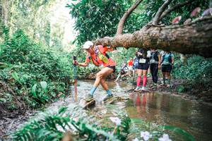 BIB: 
                            <button type="button" onclick="openModal(25516236)" class="btn btn-primary btn-sm float-right btn-popup" data-toggle="modal" data-target=".modal-high-quality">
                        <i class="fas fa-shopping-cart"></i> Add to Cart
                    </button>
                                            <button type="button" onclick="isThisMe(25516236, true)" class="btn btn-success btn-sm float-right btn-popup btn-isme hidden" data-toggle="tooltip" data-placement="bottom" title="นี่คือรูปของคุณใช่ไหม คลิกที่นี่เพื่อเอาเข้าอัลบั้ม">
                        <i class="fas fa-plus"></i> Add to album
                    </button>
                    <button type="button" onclick="isThisMe(25516236, false)" class="btn btn-warning btn-sm float-right btn-popup btn-isnotme hidden">
                        <i class="fas fa-ban"></i> Remove from album
                    </button>